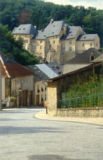 Château fort de Bourglinster (depuis le village)